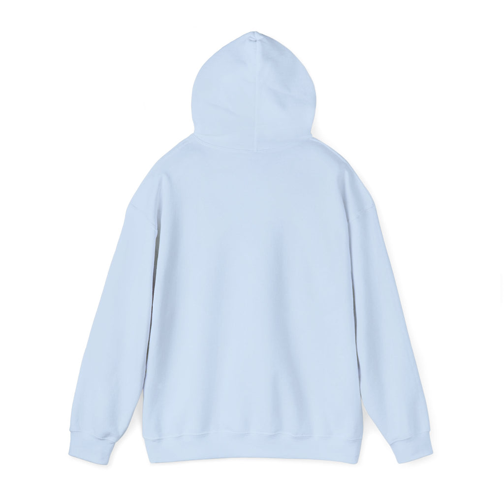 Retro Daisy “Summer Vibes Only” Hoodie — Vintage Floral Cozy Pullover